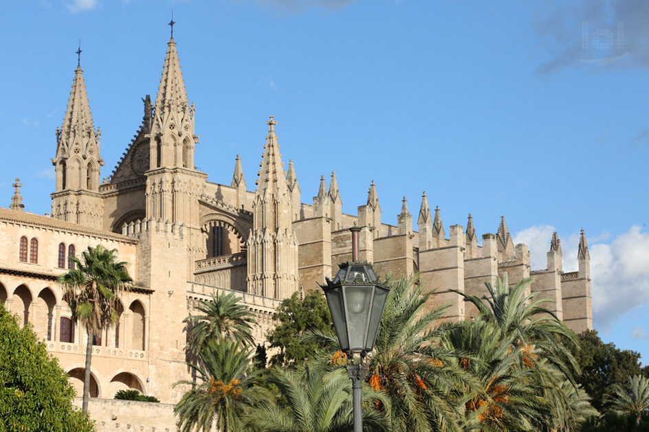 Kathedrale von Palma de Mallorca mit Palmen und Laterne