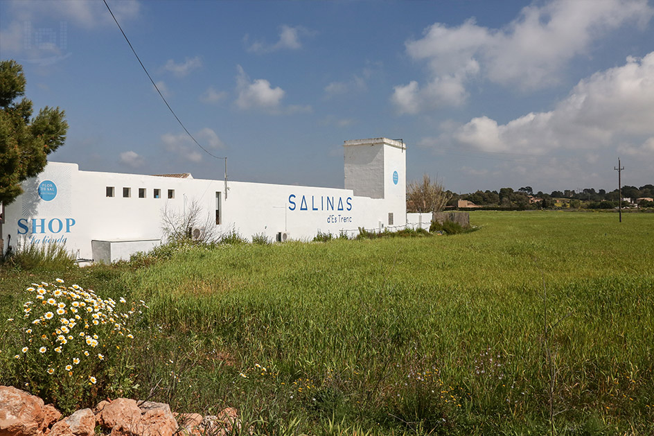 Salinas d´Es Trenc in Campos auf Mallorca