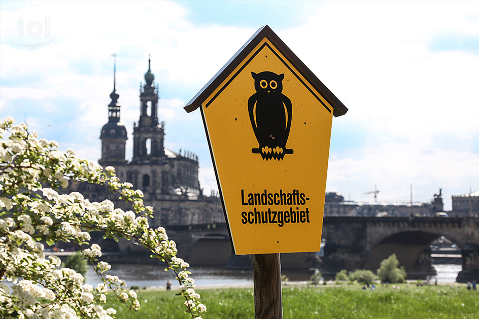 Landschaftsschutzgebiet am Elbufer in Dresden