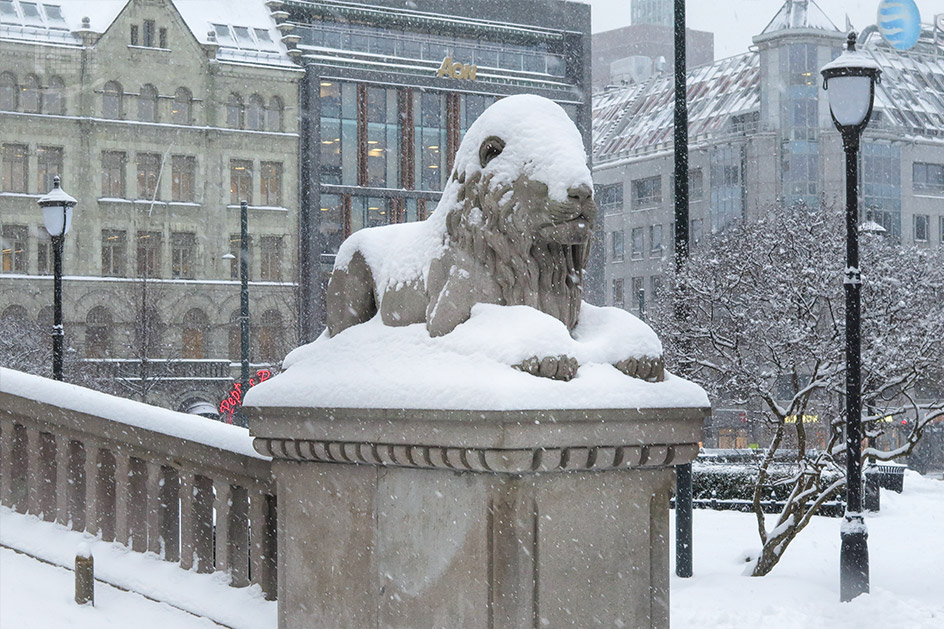Verschneite Löwenskulptur vor dem Parlamentsgebäude