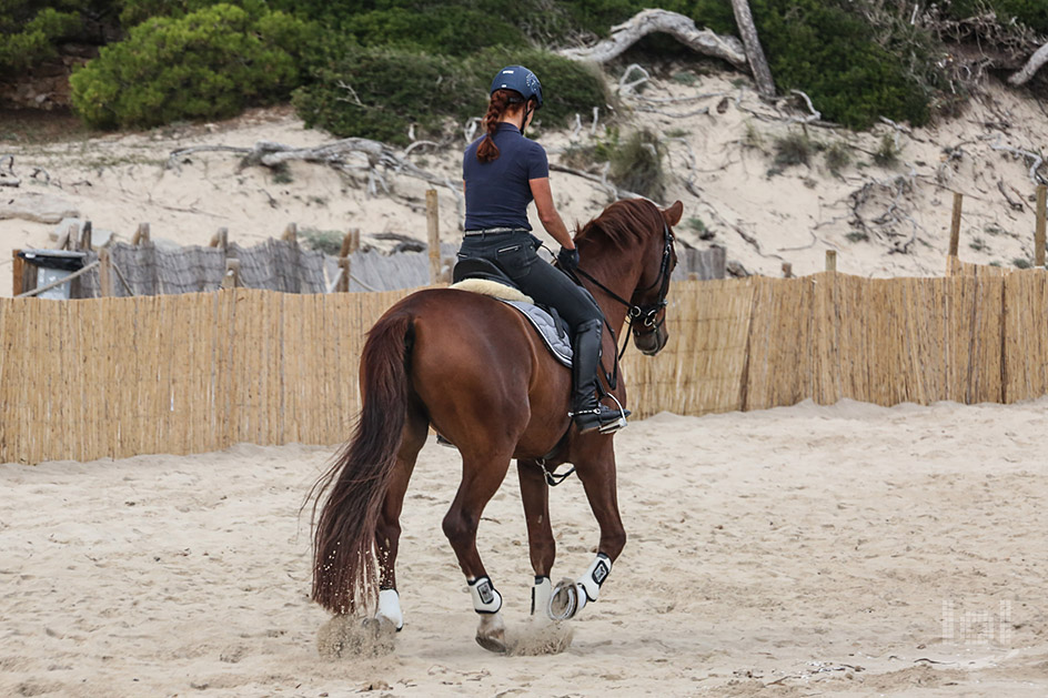 Reiterin auf einem Pferd am Sandstrand