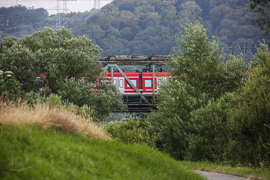 Zug auf Brücke in Bochumer Ruhrlandschaft